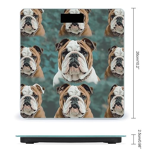 Funny English Bulldog Scale for Body Weight Precision Bathroom Weighing Scales with Back Lit LCD Display Sturdy Tempered Glass Body Weight Scales Digital Bathroom Scale 400lb