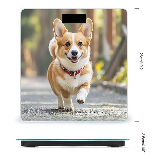 Running Corgi Bathroom Scale Digital Weight Scale Precision 400 Lbs Weighing Scales Large with LCD Backlight Display BMI Measures