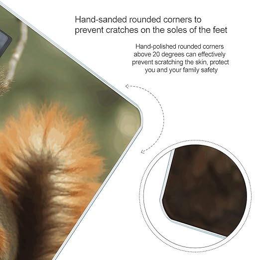 Wildlife Forest Squirrel Smart Scale for Body Weight Accurate Bathroom Scale with LED Display Digital Weight Scales Weighing Machine High Precision Scales for Bath Home
