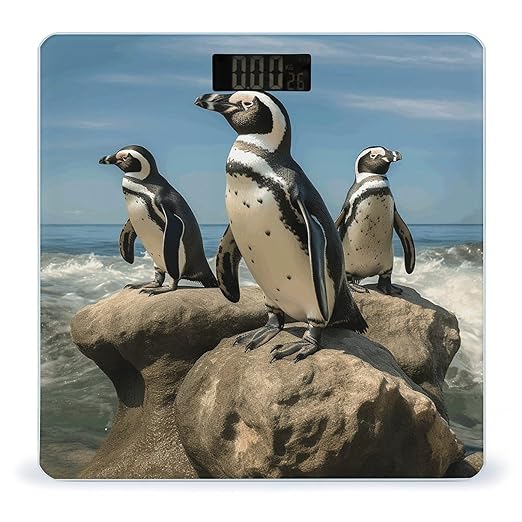 Penguin on The Beach Smart Scale for Body Weight Accurate Bathroom Scale with LED Display Digital Weight Scales Weighing Machine High Precision Scales for Bath Home