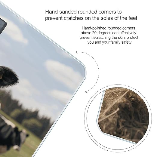 Cute Cows Digital Bathroom Scale for Body Weight Weighing Scale with Backlit LCD Display High Precision Measurements &amp Measures Weight Up to 180kg