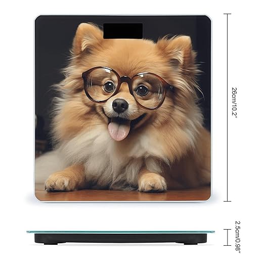 Pomeranian Dog Wearing Glasses Bathroom Scale Rounded Smart Scale for Body Weight Automatic Power On/Off Weight Scales Accurate Bathroom Digital Scales for Pet Home Bedroom Kitchen