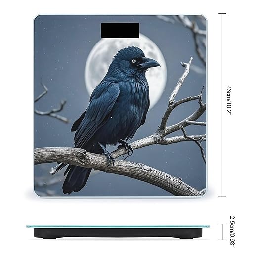 Night Crow Scale for Body Weight Accurate Digital Bathroom Scale Toughened Glass High Precision Scales Smart Weight Scales with Large LCD Backlight Display Weighing Machine