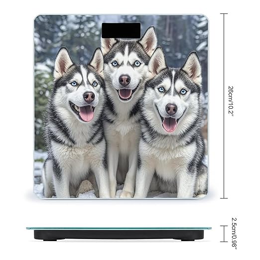 Three Cute Dogs Weight Scale Highly Accurate Digital Weighing Scale with Large LCD Display Smart Bathroom Scales for Home Bedrooms and Gift Giving