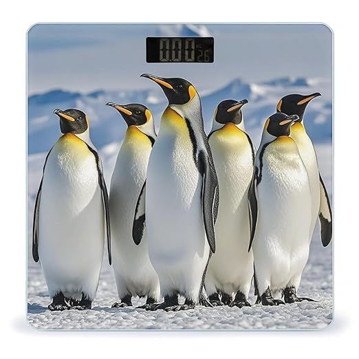 Five Penguins Bathroom Scale Digital Weight Scale Precision 400 Lbs Weighing Scales Large with LCD Backlight Display BMI Measures