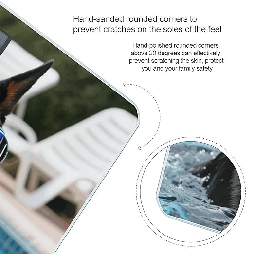 Doberman in Pool Scale for Body Weight Sturdy Tempered Glass Weighing Scales with LCD Display Accurate Digital Bathroom Scale Convenient Body Fat Smart Scales Easy Read