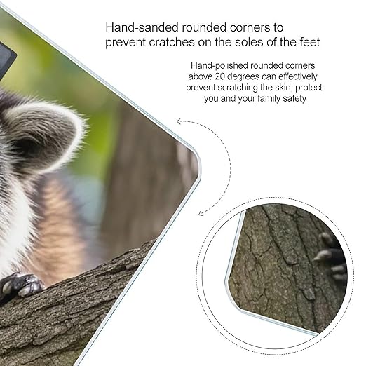 Raccoon Scale for Body Weight Highly Accurate Digital Bathroom Body Scale Digital Bathroom Scales for People Anti-Slip Large LCD Display Smart Scales