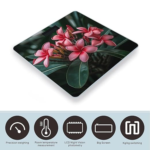 Plumeria Bathroom Scale Large LCD Backlight Display Digital Scale Rounded Corners Body Scales Automatic Power On/Off Bathroom Scales for Home Bedrooms