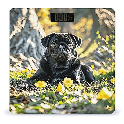 Cute Black Pug Dog Weight Scale Large Digital Bathroom Scales with Bright LED Display Non Slip Digital Scale and Step On Fashion Weighing Machine for Body