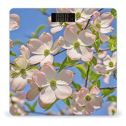 Spring Dogwood Blossoms Weight Scale Highly Accurate Digital Weighing Scale with Large LCD Display Smart Bathroom Scales for Home Bedrooms and Gift Giving