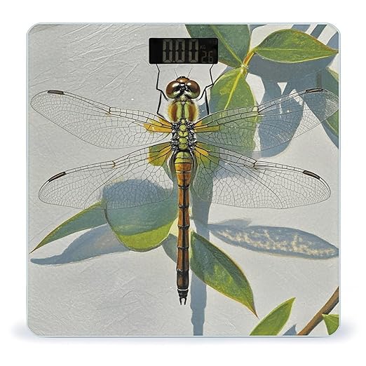 Hand Painted Dragonfly Scale for Body Weight Digital Bathroom Scale Toughened Glass High Precision Scales for Body Weight with Large LCD Backlight Display Weight Scales