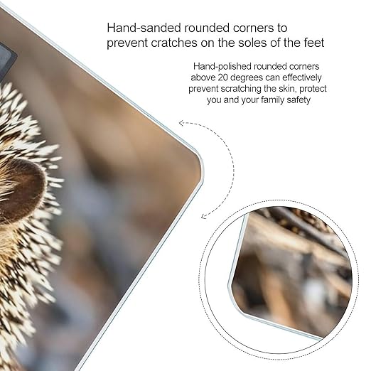 Hedgehog Scale for Body Weight Digital Bathroom Scale Toughened Glass High Precision Scales for Body Weight with Large LCD Backlight Display Weight Scales