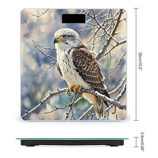 Hawk Scale for Body Weight Accurate Digital Bathroom Scale Toughened Glass High Precision Scales Smart Weight Scales with Large LCD Backlight Display Weighing Machine