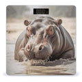 Hippopotamus in Water Scale for Body Weight Precision Bathroom Weighing Scales with Back Lit LCD Display Sturdy Tempered Glass Body Weight Scales Digital Bathroom Scale 400lb