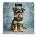 Black Yorkie Puppy Scale for Body Weight Digital Bathroom Scale Toughened Glass High Precision Scales for Body Weight with Large LCD Backlight Display Weight Scales