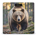 Bear Scale for Body Weight Highly Accurate Digital Bathroom Body Scale Digital Bathroom Scales for People Anti-Slip Large LCD Display Smart Scales
