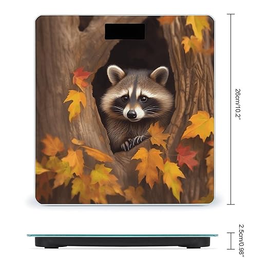 Raccoon in The Fall Tree Hole Bathroom Scale Large LCD Backlight Display Digital Scale Rounded Corners Body Scales Automatic Power On/Off Bathroom Scales for Home Bedrooms
