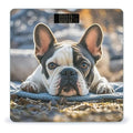 French Bulldog Dog Cute Bathroom Scale for Body Weight Bathroom Weighing Scales with Back Lit LED Display Sturdy Tempered Glass Body Weight Bathroom Scale 400lb Weighing