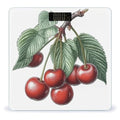 Cherry on Branch Scale for Body Weight Anti-Slip Tempered Glass Digital Bathroom Scales Clear LCD Display Weighing Scale Safe Rounded Corners Smart Scales
