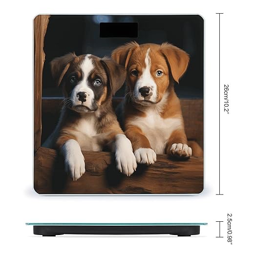 Puppies Dogs Pets AnimalsScale for Body Weight with LCD High Precision Weighing Scales Fashion Sturdy Tempered Glass Weight Scales Easy-to-Read Digital Bathroom Scale for Daily 400lb