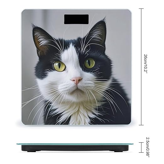 Black and White Cats Scale for Body Weight Accurate Digital Bathroom Scale Toughened Glass High Precision Scales Smart Weight Scales with Large LCD Backlight Display Weighing Machine