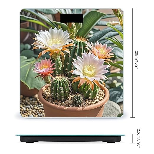 Cactus Flower Pot Scale for Body Weight Highly Accurate Digital Bathroom Body Scale Digital Bathroom Scales for People Anti-Slip Large LCD Display Smart Scales