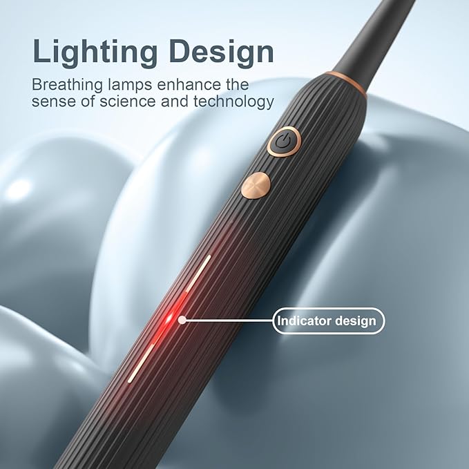 Sonic Electric Toothbrush for Adults with Drying Storage Holder 8 Brush Heads Smart Timer USB Rechargeable Deep Clean Power – Classic Black Edition