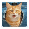 Orange Cat Sticking Out Tongue Scale for Body Weight Accurate Digital Bathroom Scale Toughened Glass High Precision Scales Smart Weight Scales with Large LCD Backlight Display Weighing Machine