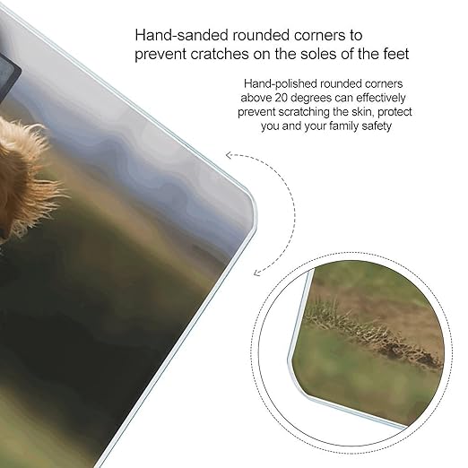 Golden Retriever Running Scale for Body Weight Accurate Digital Bathroom Scale Toughened Glass High Precision Scales Smart Weight Scales with Large LCD Backlight Display Weighing Machine