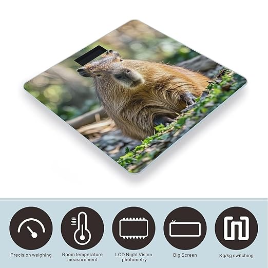 Capybara with Eyes Closed Bathroom Scale for Body Weight Bathroom Weighing Scales with Back Lit LED Display Sturdy Tempered Glass Body Weight Bathroom Scale 400lb Weighing