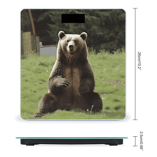 Hi Bear Sit on The Lawn Bathroom Scale Ultra-Bright Liquid Crystal Screen Weight Scale Accurate Bathroom Body Scales for Body Weight Bathroom Pet Home Bedroom Gift-Giving
