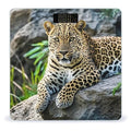 African Leopard on Rock Smart Scale for Body Weight Accurate Bathroom Scale with LED Display Digital Weight Scales Weighing Machine High Precision Scales for Bath Home