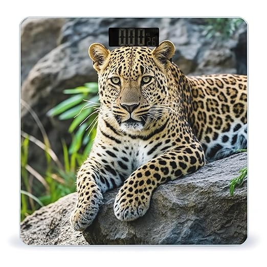 African Leopard on Rock Smart Scale for Body Weight Accurate Bathroom Scale with LED Display Digital Weight Scales Weighing Machine High Precision Scales for Bath Home
