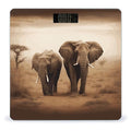 Wild Animals Elephants Digital Bathroom Scale Fashion Unique Weight Scale BMI Anti-Slip Precision Weighing Scales Suitable for Home Bedrooms Use and Gift