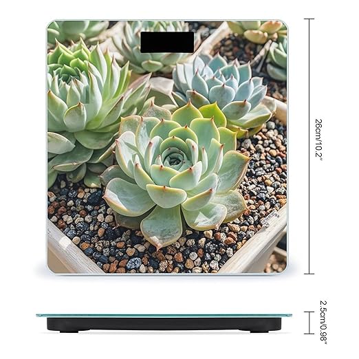 Smiling SucculentsSmiling Succulents Scale for Body Weight Digital Bathroom Scale Accurate Smart Weight Scales with Large Display Weighing Machine High Precision Scales