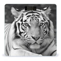 Black White Tiger Scale for Body Weight Accurate Digital Bathroom Scale Toughened Glass High Precision Scales Smart Weight Scales with Large LCD Backlight Display Weighing Machine