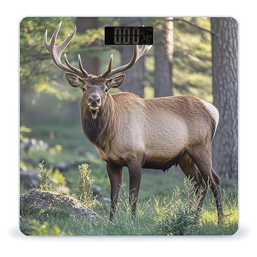 Deer in The Wild Bathroom Scale for Body Weight Bathroom Weighing Scales with Back Lit LED Display Sturdy Tempered Glass Body Weight Bathroom Scale 400lb Weighing