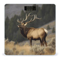 Bull Elk Scale for Body Weight Safe Rounded Corners Tempered Glass Digital Bathroom Scale LED Display 400lb Capacity Weight Scales with High Precision Sensors