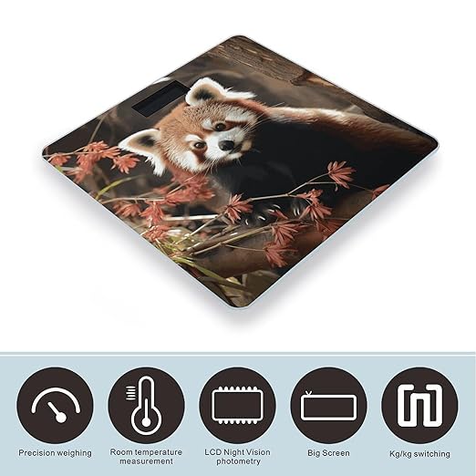Red Pandas Bathroom Scale Automatic Power On/Off Body Scales LCD Backlight Display Square Digital Scale Rounded Corners Bathroom Scales for Home Bedrooms
