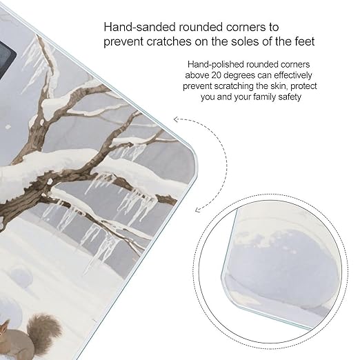 Squirrel Bathroom Scale for Body Weight Bathroom Digital Electronic Weighing Scale with Back Lit LED Display Sturdy Tempered Glass Weight Watchers Scales 400lb