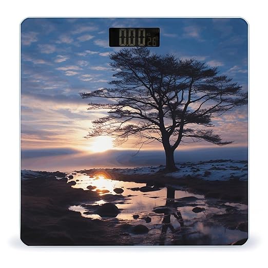 Tree Branch Silhouette at Dusk Scale for Body Weight Anti-Slip Tempered Glass Digital Bathroom Scales Clear LCD Display Weighing Scale Safe Rounded Corners Smart Scales