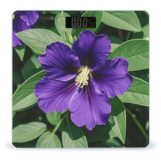 Purple Flowers Digital Bathroom Scale for Body Weight Weighing Scale with Backlit LCD Display High Precision Measurements &amp Measures Weight Up to 180kg