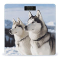 Digital Bathroom Scale for Body Weight Scale with Bright LCD Display High Accuracy Step-On Technology Auto On/Off Husky Dogs Digital Scales 400 Lbs /180kg