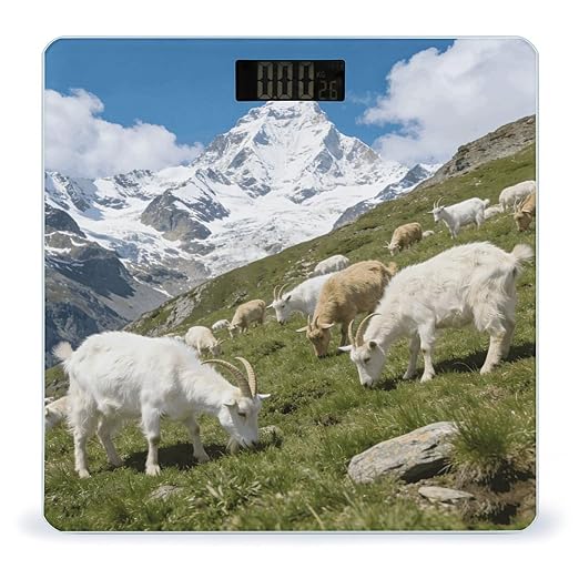 Cachemire Smart Scale for Body Weight Digital Bathroom Scale Toughened Glass Weight Scale with Large LCD Backlight Display High Precision Scales Weighing Machine