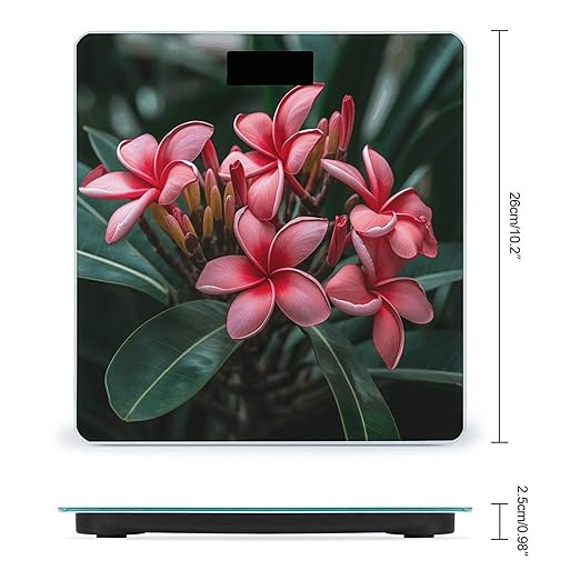 Plumeria Bathroom Scale Large LCD Backlight Display Digital Scale Rounded Corners Body Scales Automatic Power On/Off Bathroom Scales for Home Bedrooms