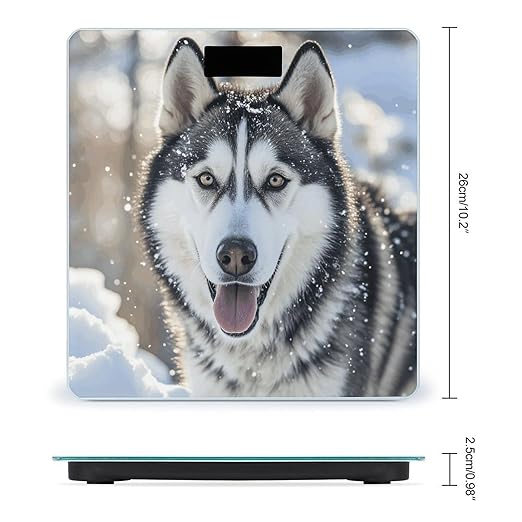 Dog in The Snow Digital Bathroom Scale for Body Weight Weighing Scale with Backlit LCD Display High Precision Measurements &amp Measures Weight Up to 180kg
