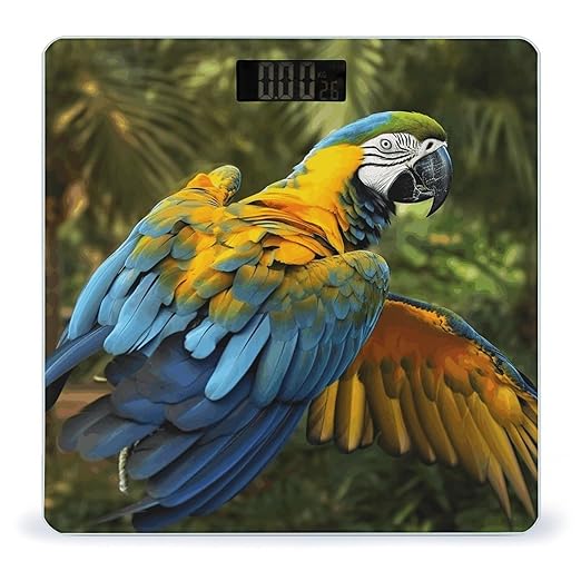 Yellow Wings Blue Parrot Bathroom Scale Automatic Power On/Off Body Scales LCD Backlight Display Square Digital Scale Rounded Corners Bathroom Scales for Home Bedrooms