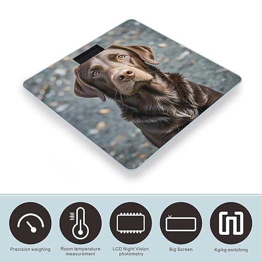 Brown Labrador Retriever Scale for Body Weight Accurate Digital Bathroom Scale Toughened Glass High Precision Scales Smart Weight Scales with Large LCD Backlight Display Weighing Machine