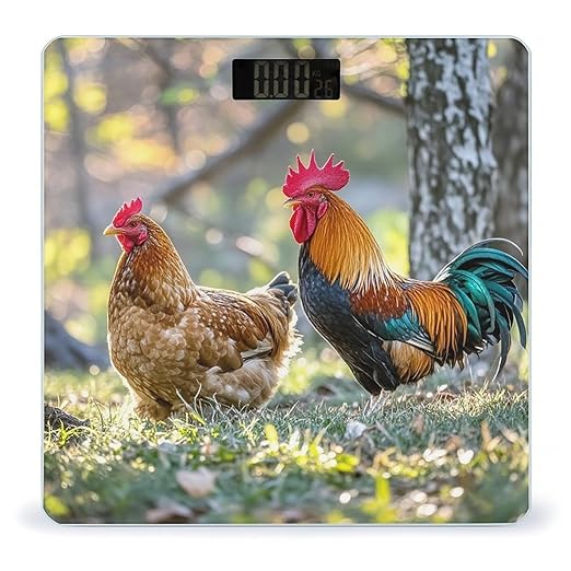 Beautiful Rooster Hen Scale for Body Weight Accurate Digital Bathroom Scale Toughened Glass High Precision Scales Smart Weight Scales with Large LCD Backlight Display Weighing Machine