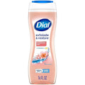 Dial Enriching Body Wash Himalayan Salt 16 oz (Pack of 4)
